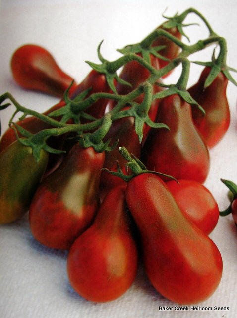 Adding Cherry Tomatoes