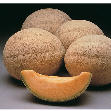Muskmelon or Cantaloupe?