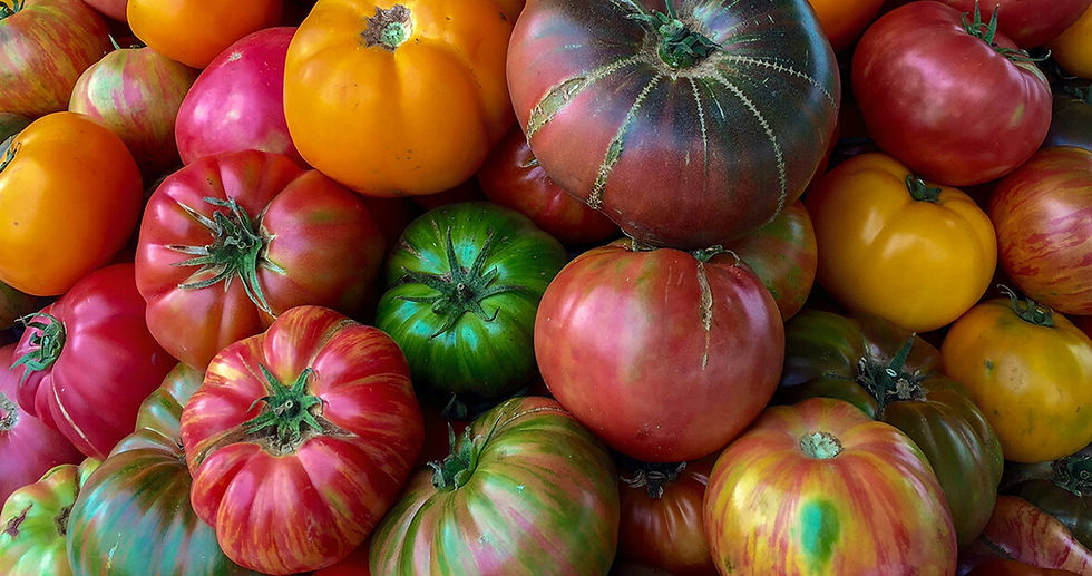 tomato.