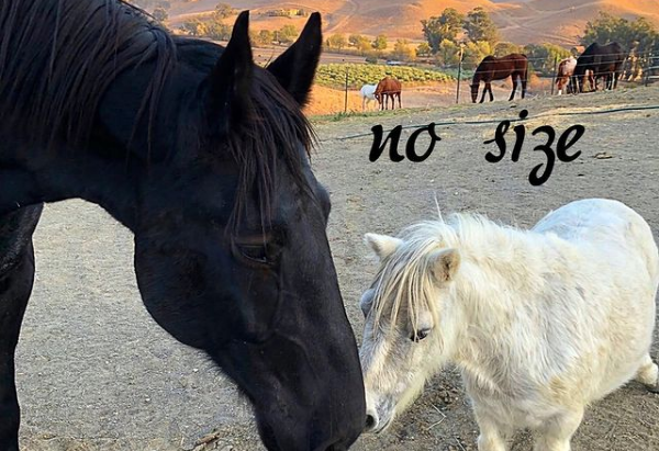 Love Knows No Size or Color