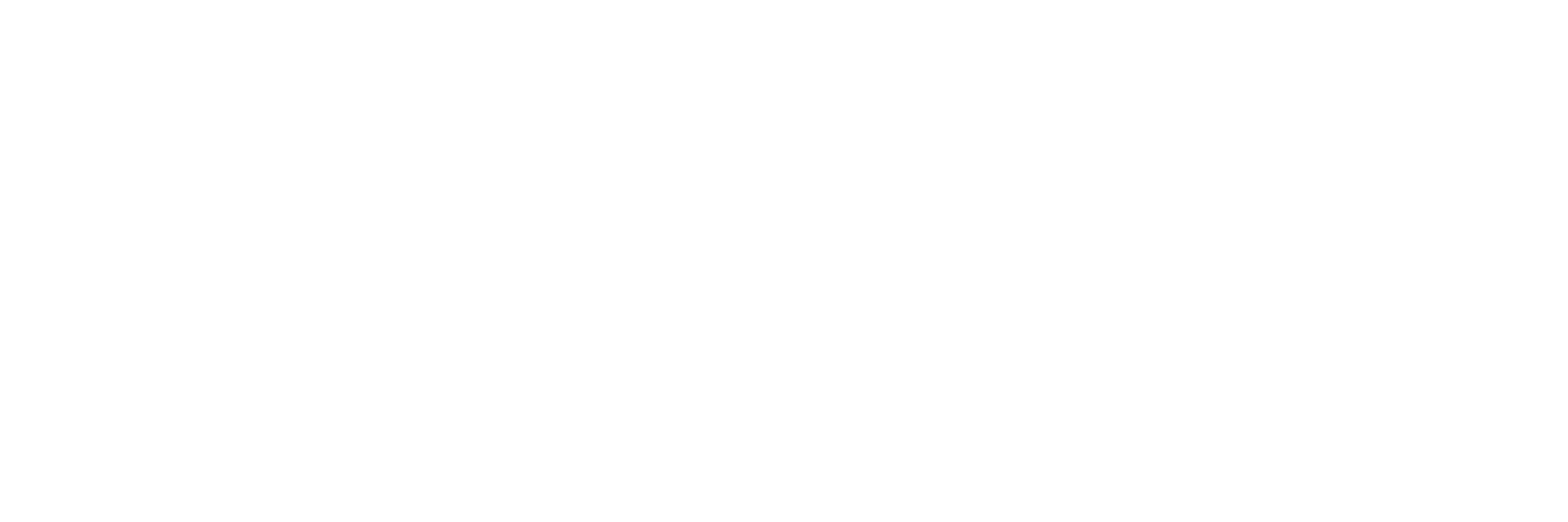 logo_IF_white.png
