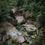 Miniatura: Green Serene