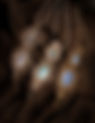 All Products | Merkaba Collection | Lexie on Earth