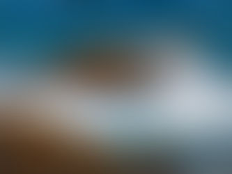 “Tecnología, reflexiones del mar” por Laura Chicurel