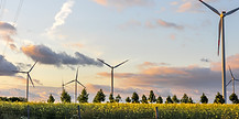 wind-turbines-trees-eco-energy-rapeseed-field-warm-sky.jpg