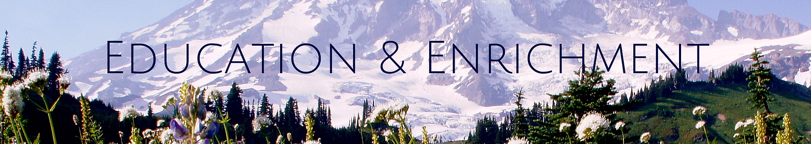 Website Header Canva Licensed.png