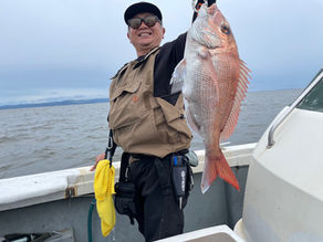 タコ・鯛ラバ・サワラ