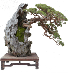 MBOSS 2022 (101).png