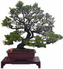 20220116_150139.png