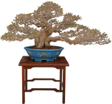 DSC07267.png