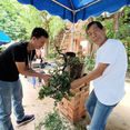 Chiang Mai Bonsai show (42).jpg