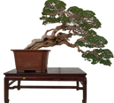 DSC07229_edited.png
