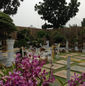 Floria 2013_2.jpeg