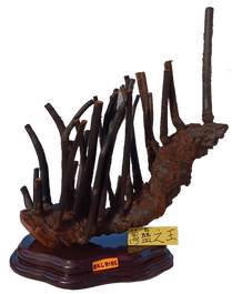 EKL 8185_edited.png