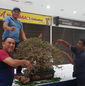 Terengganu Bonsai Exhibition & Competition 2017_7.jpeg