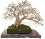 DSC07256_edited.png