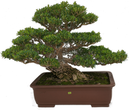 DSC07245_edited.png