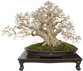 DSC07254_edited_edited.png