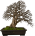 DSC07238.png