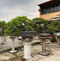 Exclusive Bonsai Demonstration assosiates with the Indian Bonsai Association 2020_11.jpeg