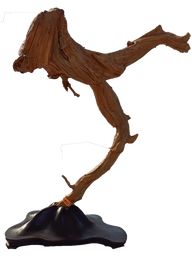 EKE8151_edited.png