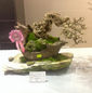 Terengganu Bonsai Exhibition & Competition 2015_28.jpeg
