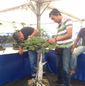Floria 2014_6.jpeg
