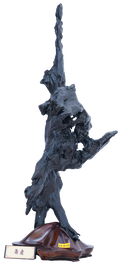 DSC07736_edited.png