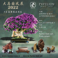 IG poster-01.png