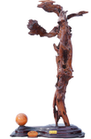 DSC07727_edited.png