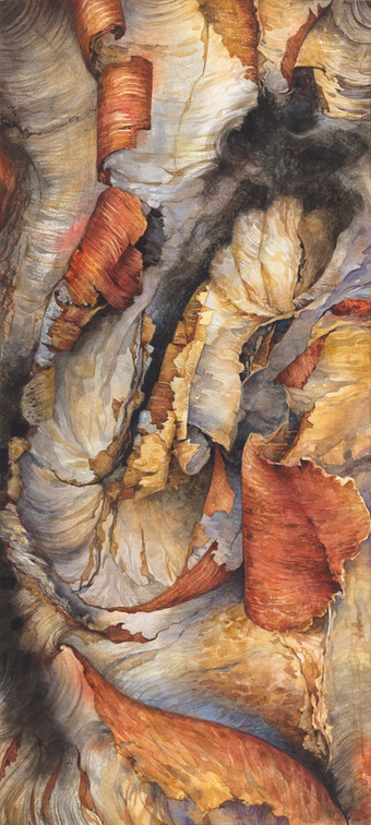 Paper Birch: Chapter 1