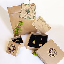 P1160531 Emballage avec brd.jpg