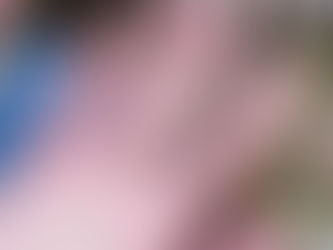 The oldest crown jewels - The Honours of Scotland