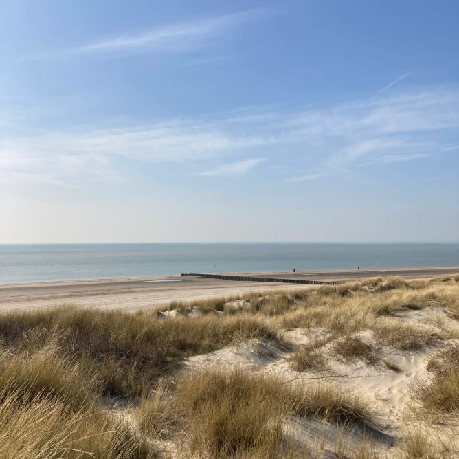 strand duinen.webp