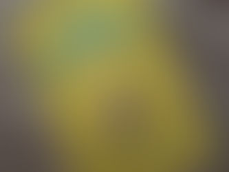 Seja mais feliz, aconteça o que acontecer, Tal Ben-Shahar