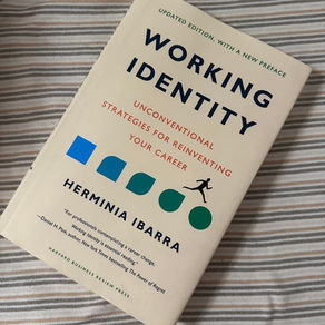 Identidade de Carreira, Herminia Ibarra