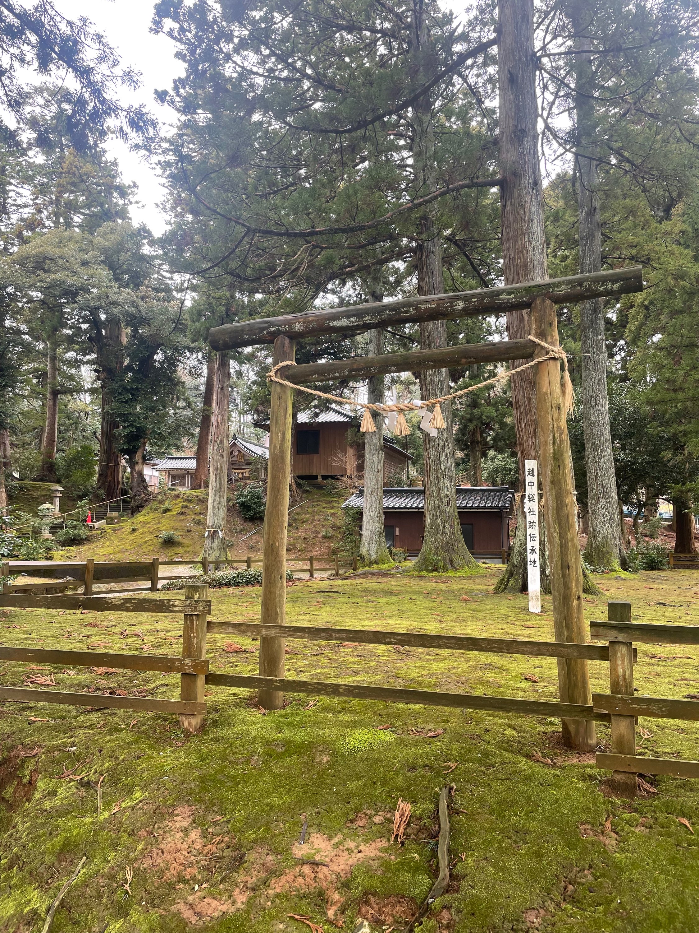 執筆者の写真: 明智　仁