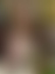 Shanghai Asian Manor(NYC ChinaTown)