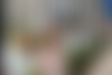 Rockefeller Center (NYC)