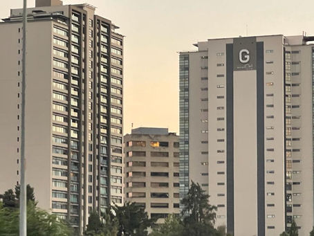 ¿Por qué es crucial que un profesional inmobiliario conozca el mercado en el que trabaja?