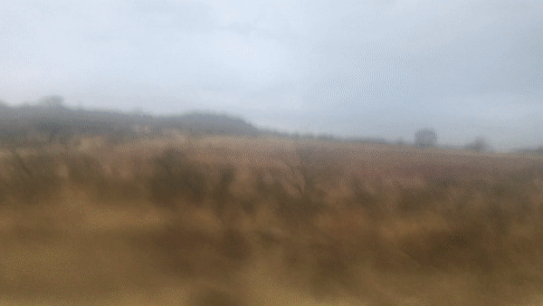 ezgif.com-video-to-gif.gif