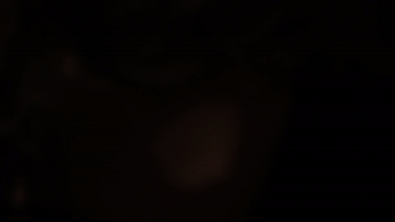 GIF.gif