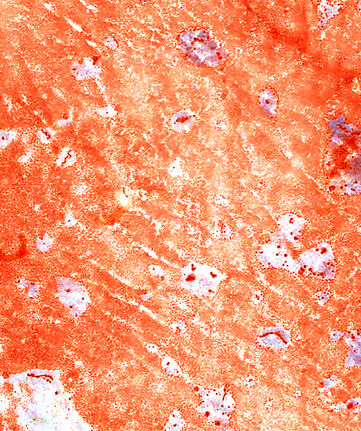 acetate to transparent paper 2.jpg