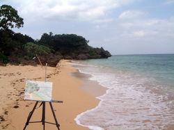 Iriomote - Okinawa