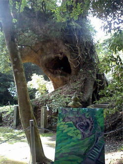 Koyama Tree Kagoshima
