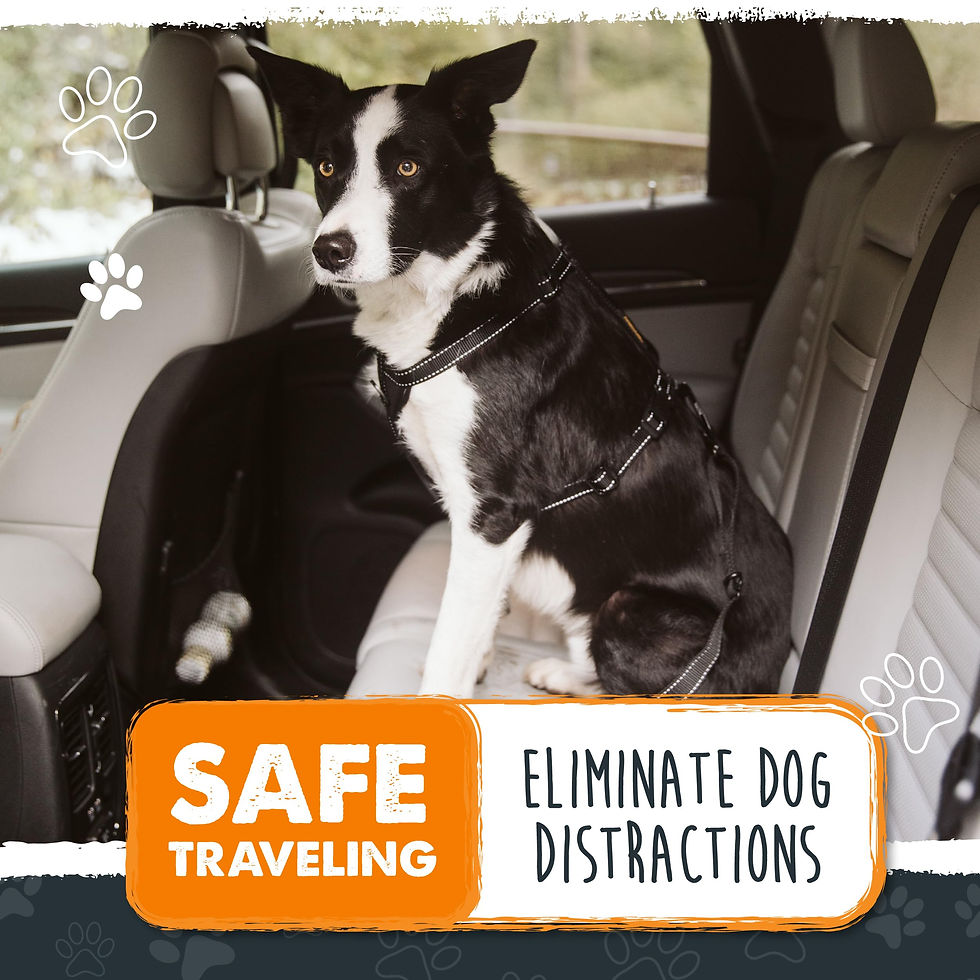 Thumbnail: Mighty Paw Dog Seat Belt for Car - Safe Distraction Free Driving, Heavy-Duty ...