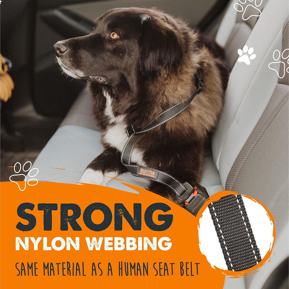 Thumbnail: Mighty Paw Dog Seat Belt for Car - Safe Distraction Free Driving, Heavy-Duty ...