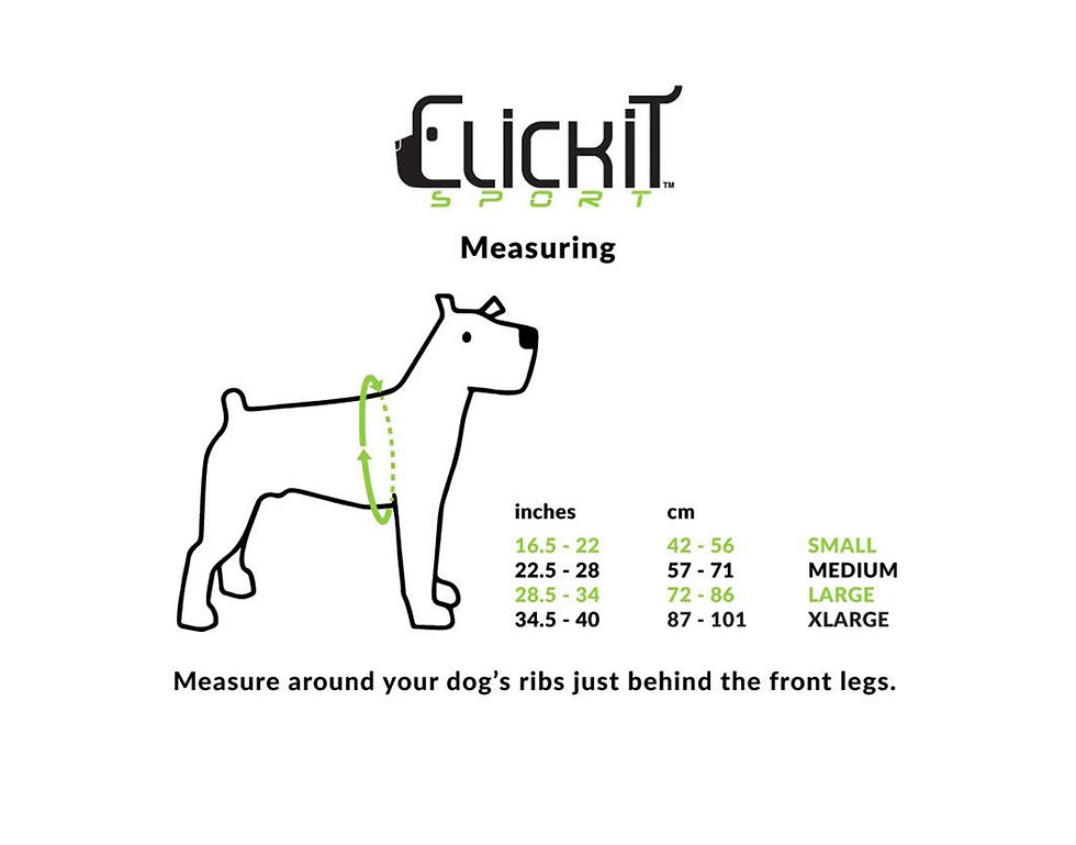 Thumbnail: Clickit Sport Plus - Crash-Tested and Safety Certified Car Seat Belt Harness ...