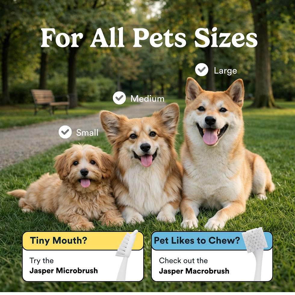 Thumbnail: Jasper Dog Toothbrush, 360 Dog Tooth Brushing Kit, Finger Toothbrush, Cat Too...