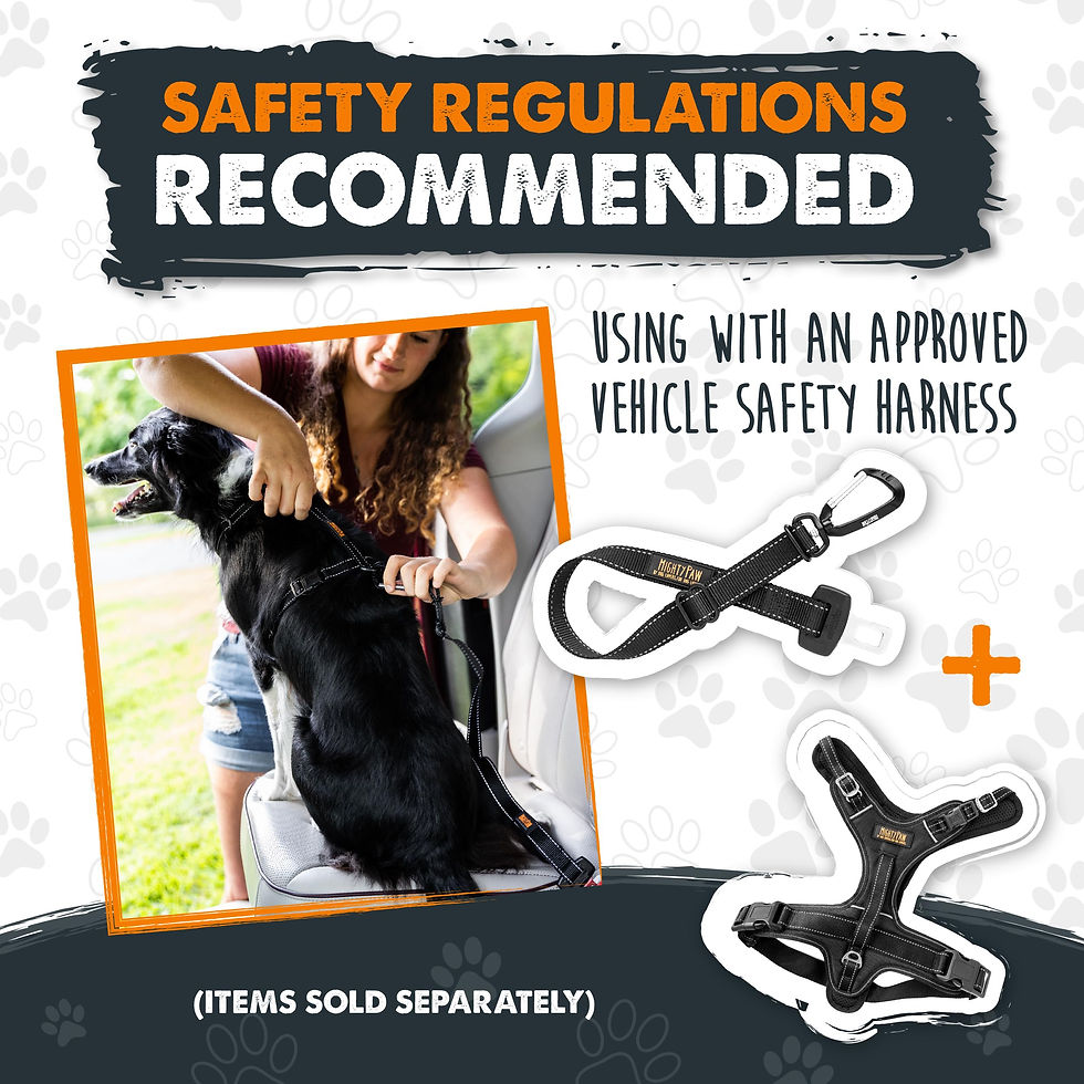 Thumbnail: Mighty Paw Dog Seat Belt for Car - Safe Distraction Free Driving, Heavy-Duty ...
